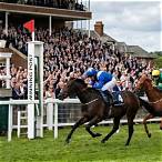straight tricast bet calculator